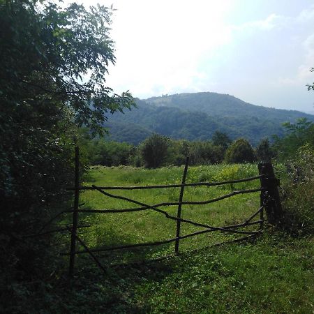 Guesthouse Smiljanic Slavkovica 외부 사진