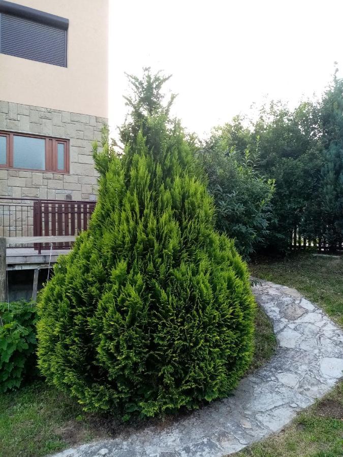 Guesthouse Smiljanic Slavkovica 외부 사진
