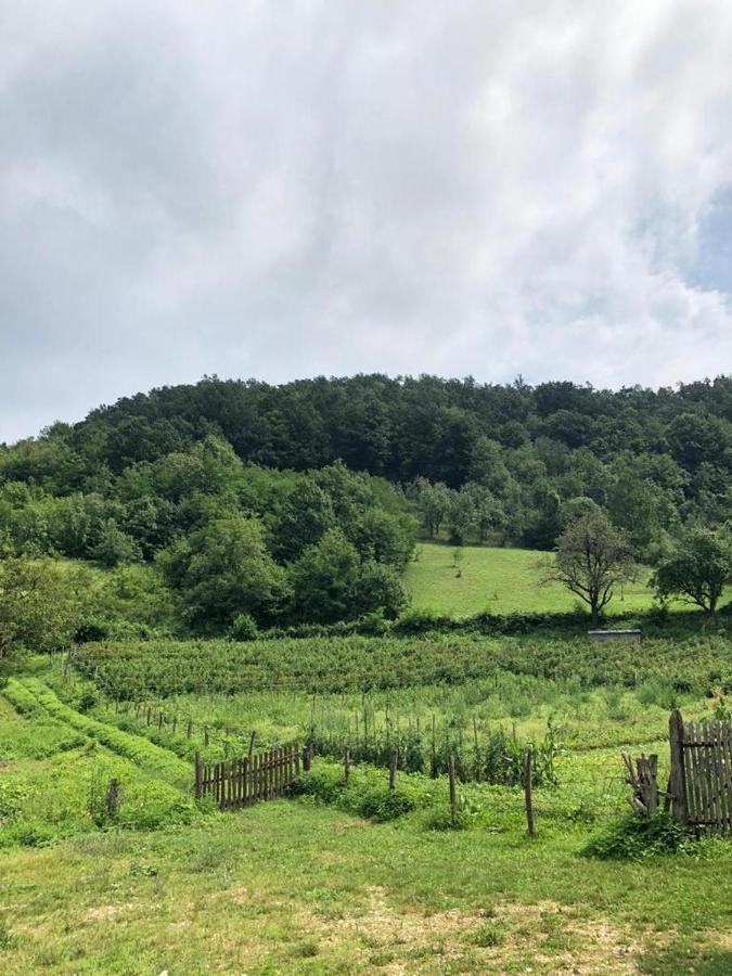 Guesthouse Smiljanic Slavkovica 외부 사진
