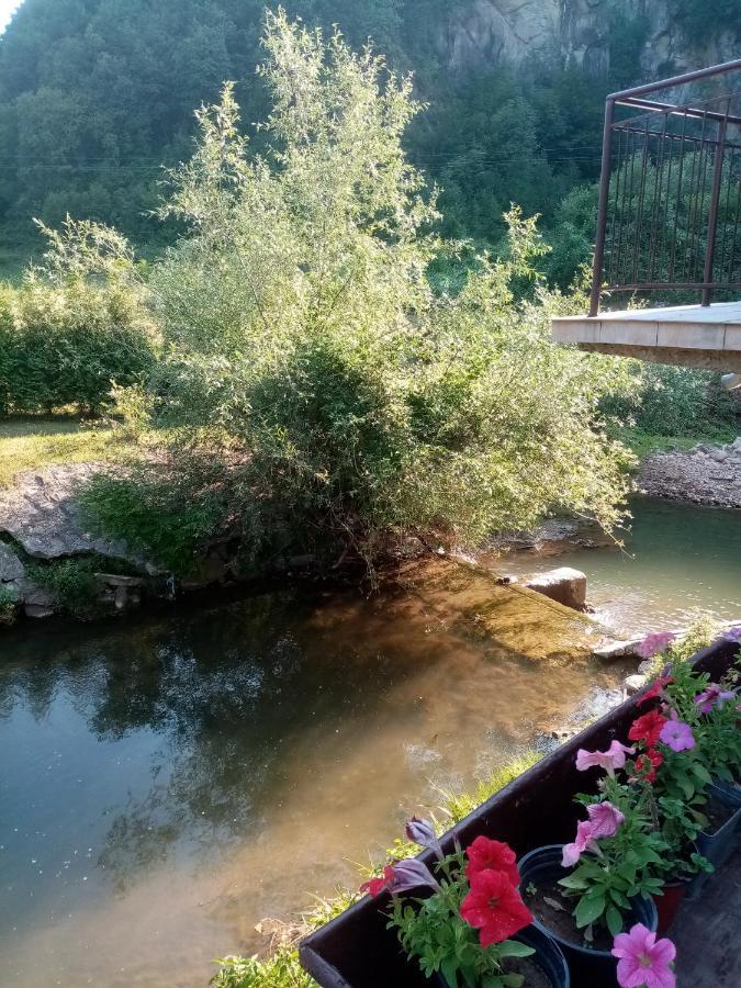 Guesthouse Smiljanic Slavkovica 외부 사진