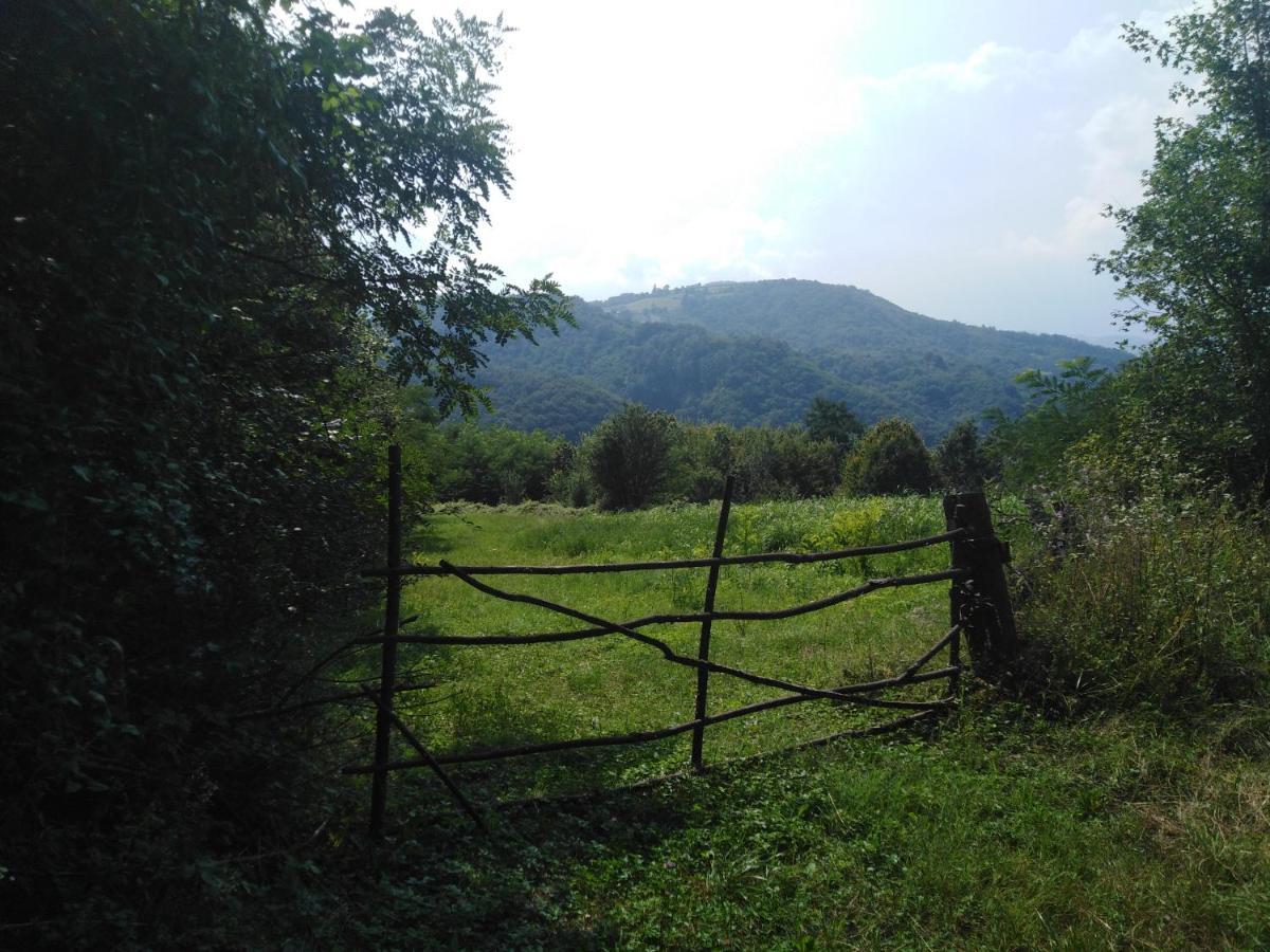 Guesthouse Smiljanic Slavkovica 외부 사진