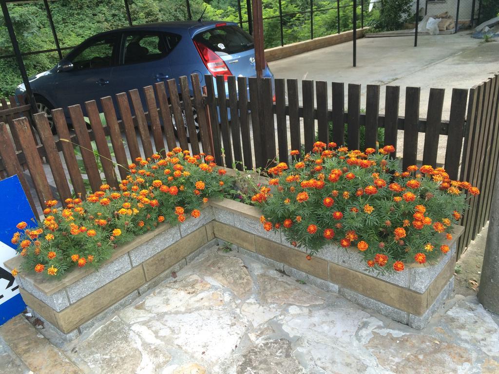 Guesthouse Smiljanic Slavkovica 외부 사진