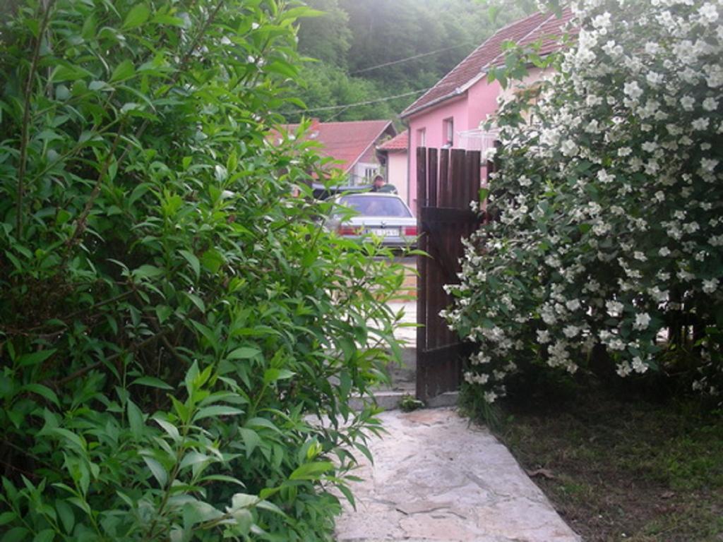 Guesthouse Smiljanic Slavkovica 외부 사진