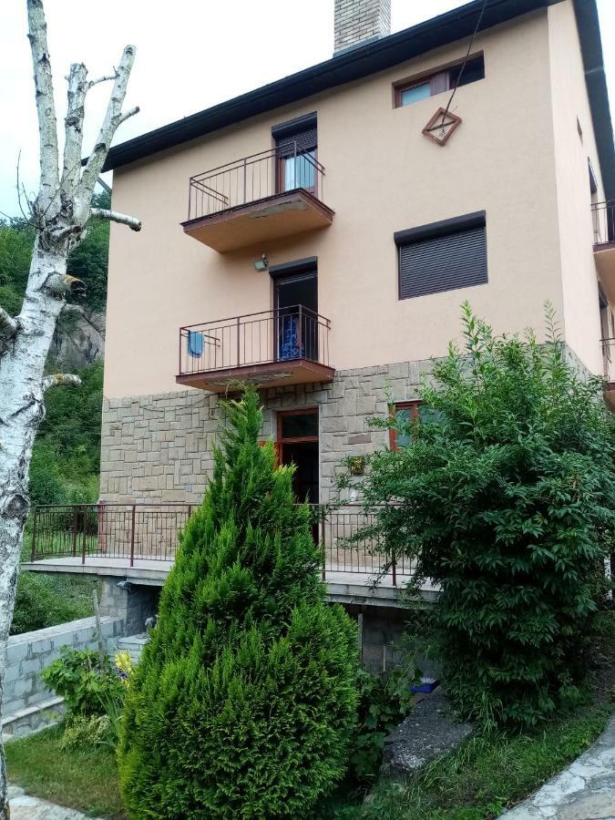 Guesthouse Smiljanic Slavkovica 외부 사진